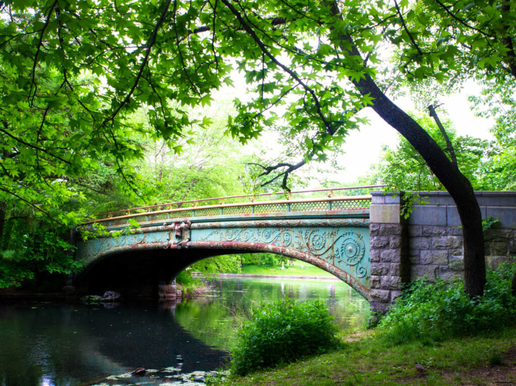 A bridge surrounded by greenery at the Prospect Park 