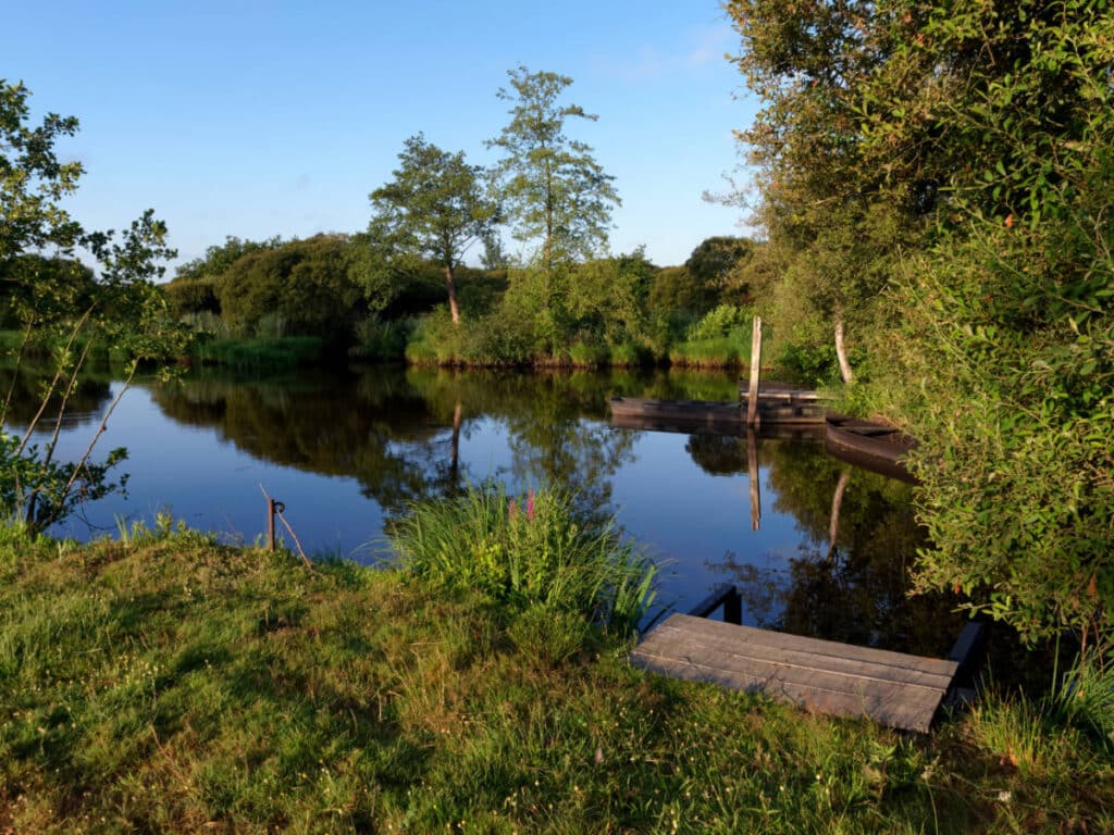 View at the Brière Regional Natural Park