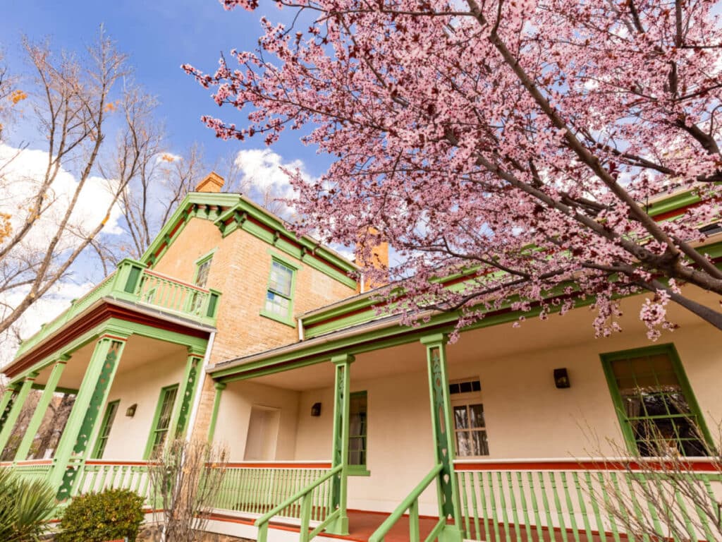 View of the blooming cherry trees outside the Brigham Young winter home in springtime