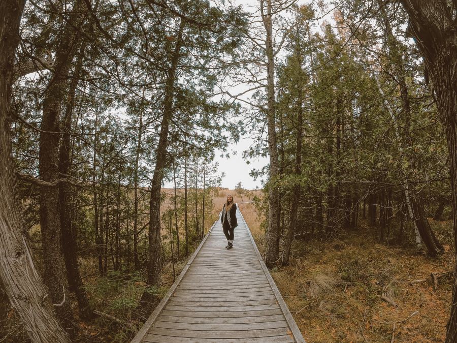 Taylor stands on the boardwalk at Brokenhead Wetland Ecological Reserve