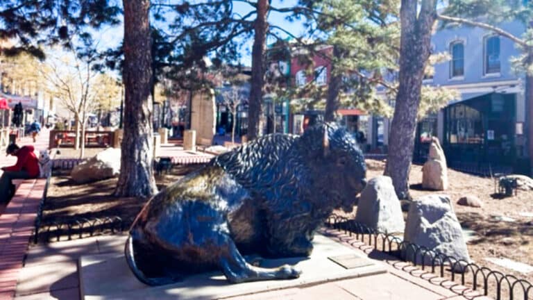 View of the bronze buffalo statue at the Pearl Street Mall in Boulder