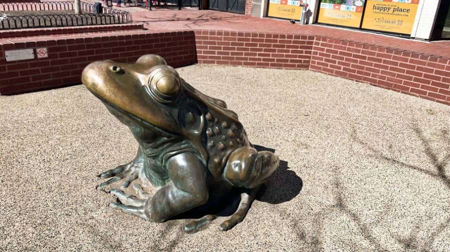 View of the bronze frog statue at Pearl Street Mall