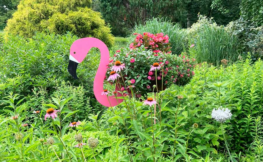 Colorful flowers in Brookside Gardens