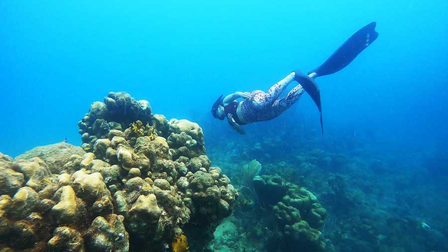 View of a woman snorkeling under the water of Buck Island