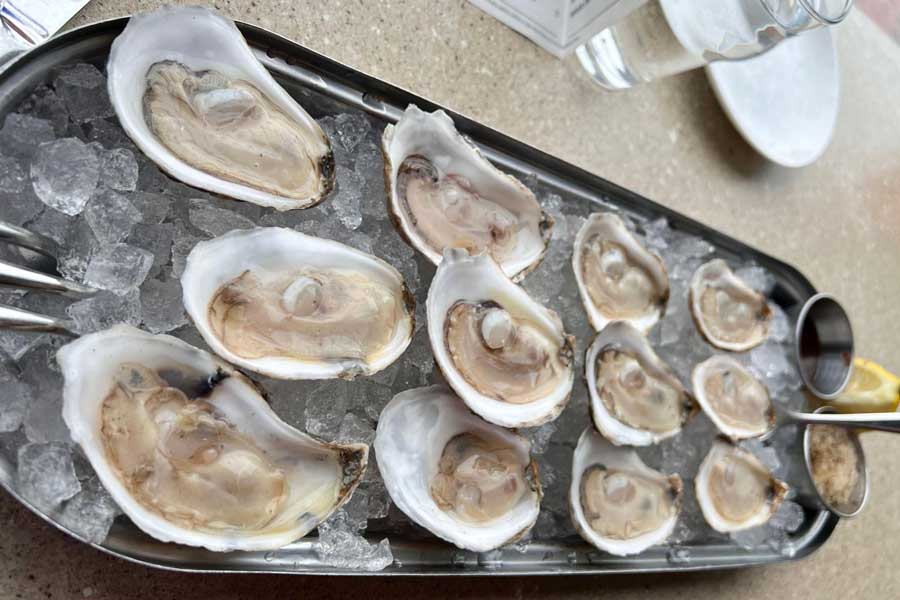 Fresh oysters on a tray with ice in Buck & Rider