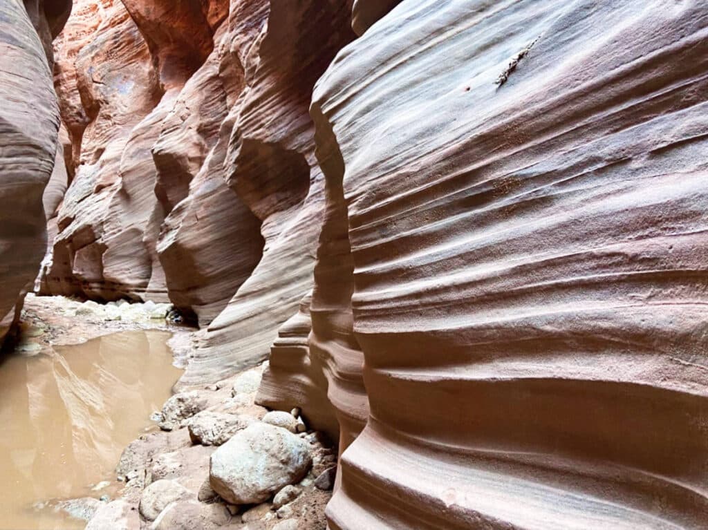 View from the Buckskin Gulch slot canyon in Grand Staircase Escalante