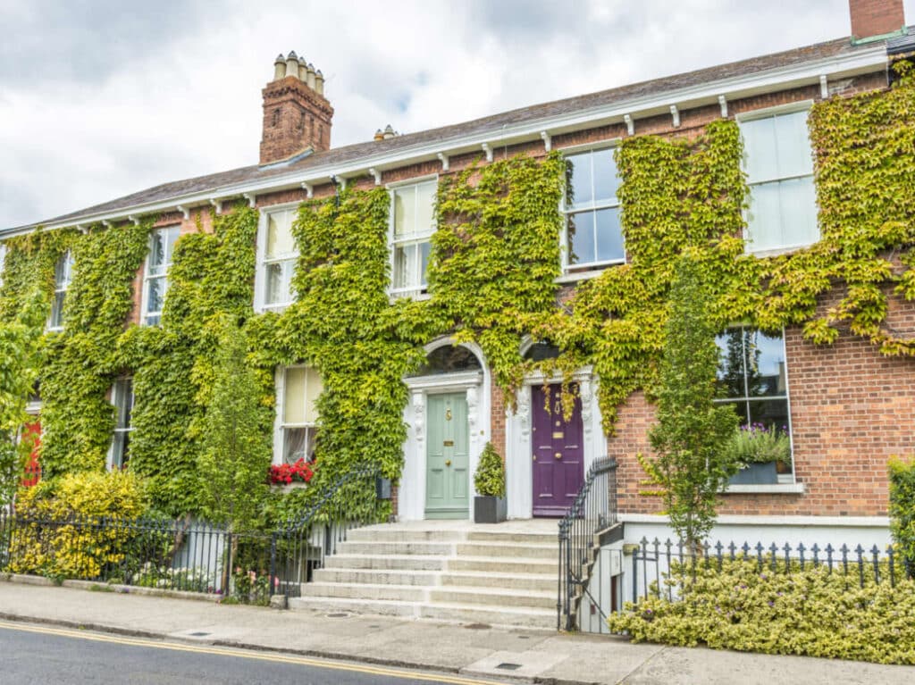 Exterior view of a building surrounded by lush green vines in Ranelagh District