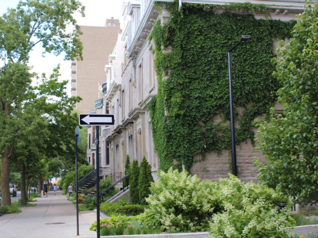 Plant-covered buildings and trees around the Plateau Mont-Royal district