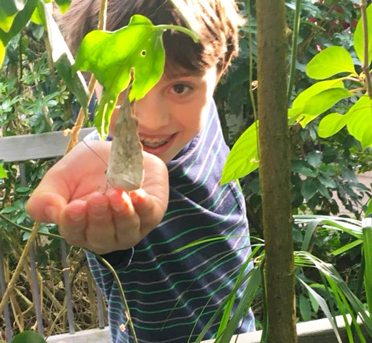 View of the author's son having fun in Butterfly Pavilion