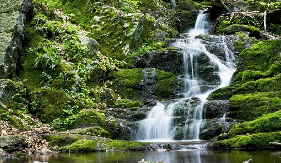 View from the Buttermilk Falls in New Jersey