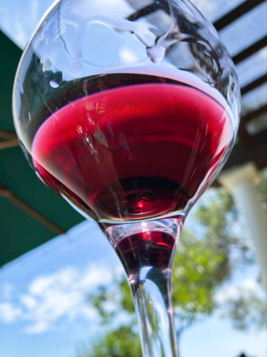 Closeup view of a wine glass with Cabernet Sauvignon from the bottom