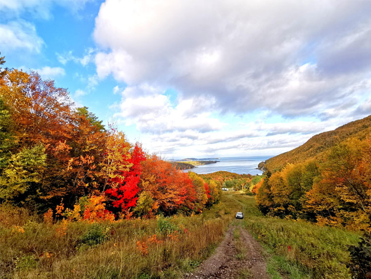 Car on Cabot Trail dirt road with autumn leaves