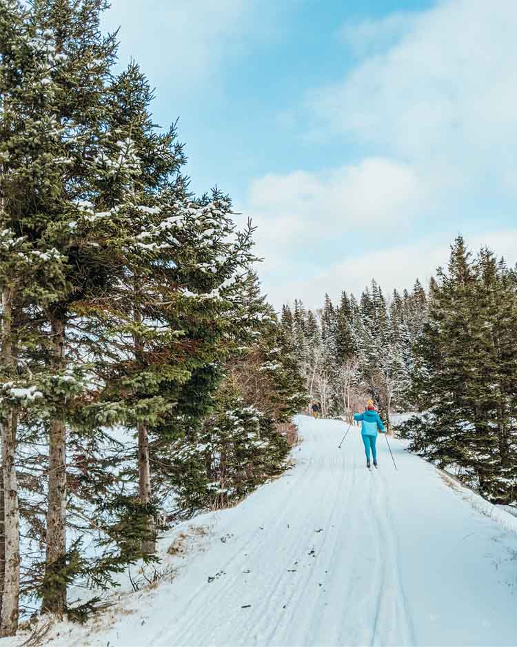 A Woman skiing in winter