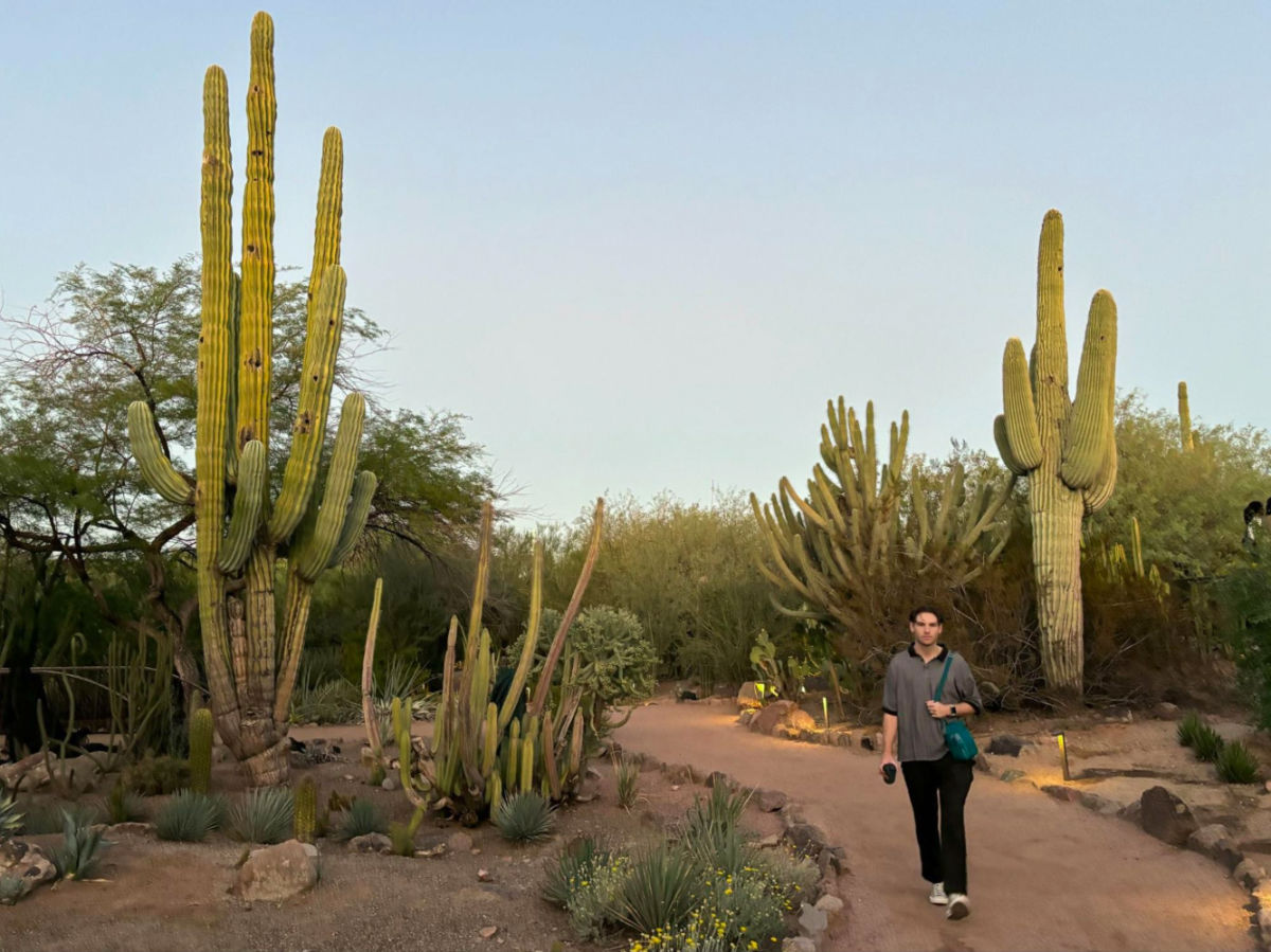A man walking in a path surrounded by cactuses