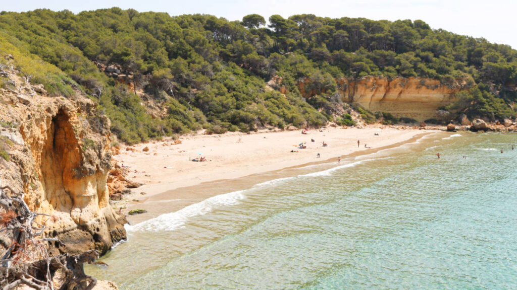 Aerial view of the Cala Fonda beach surrounded by lush mountain on a sunny day