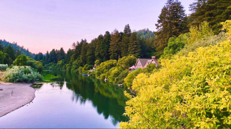 Scenic view of the calm water and fall foliage around the Sonoma landscape