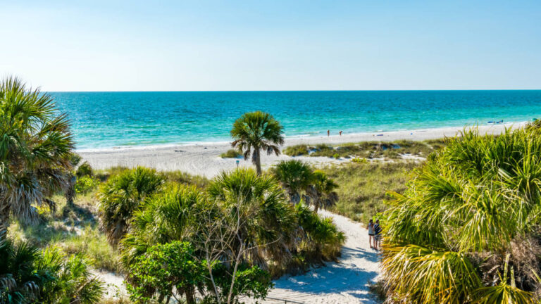 Scenic overlooking view of the calming beach with blue skies on a sunny day in Tampa