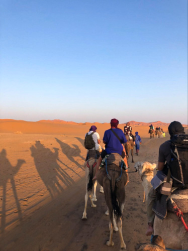 View of the tourists riding the camelback in Morocco’s Sahara desert