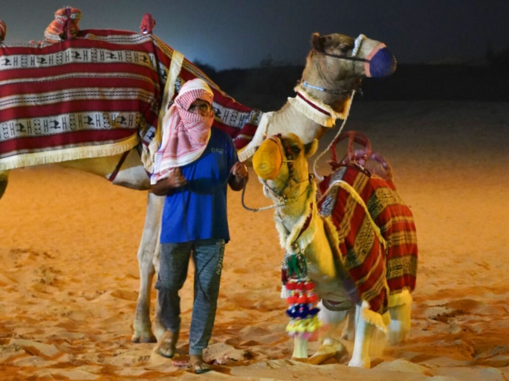 Camels and the rider wearing face masks for the Desert Tour
