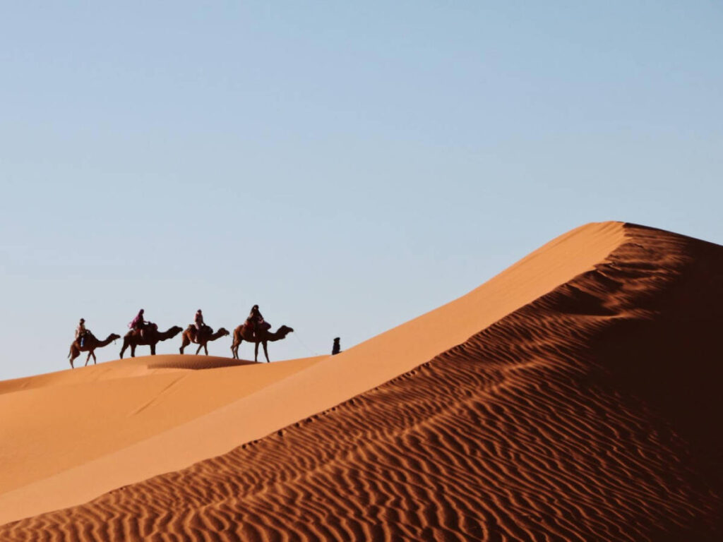 A group of four people riding camels across the sandy desert dune under the clear blue sky