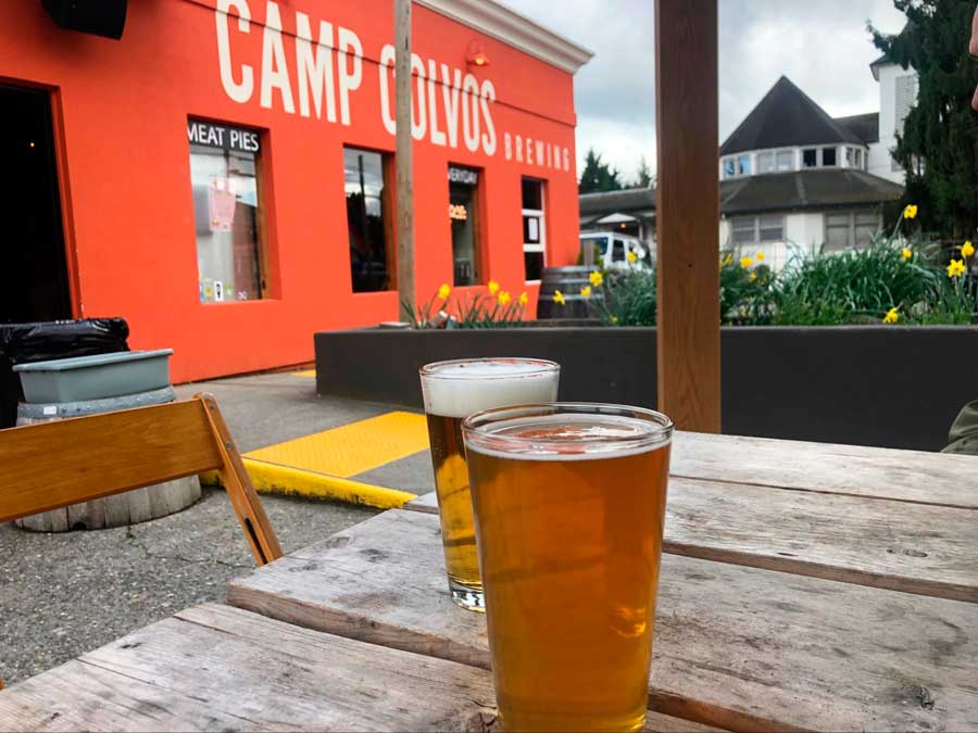 Two glasses of beer in Camp Colvos Brewing