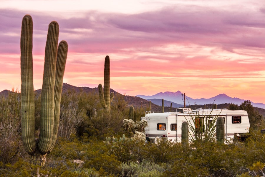 An RV van parked on a campsite in the Sonoran Desert beside Saguaro cacti