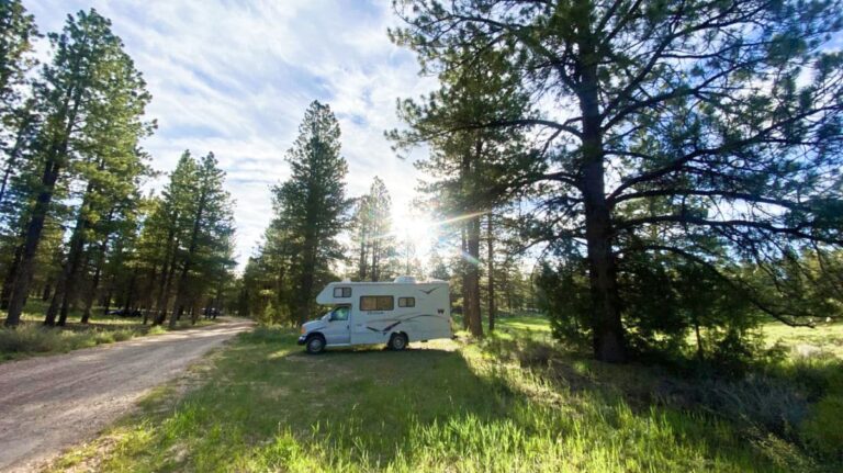 A campervan parked on the BLM land on a sunny day