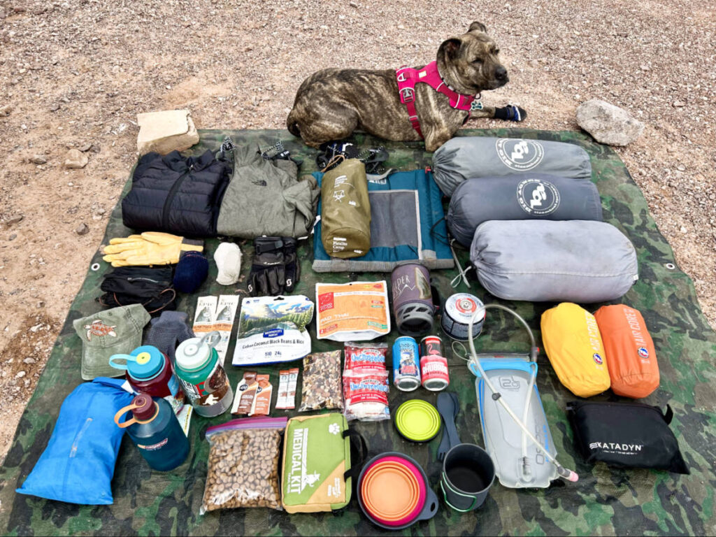 A dog lying with the camping gear laid on a huge cloth