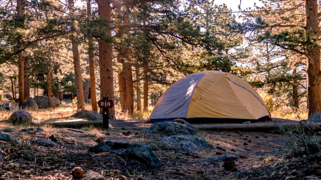 A camping tent in the middle of the forest at sunset