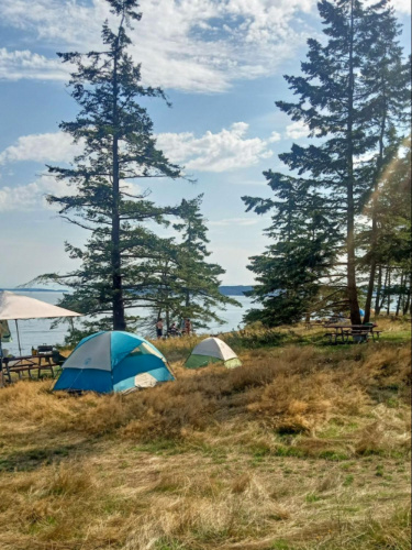 Camping tents and picnic tables at Salt Spring