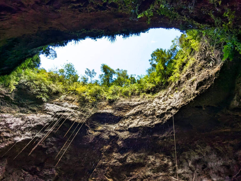 View of the sky from the opening of Camuy Cave
