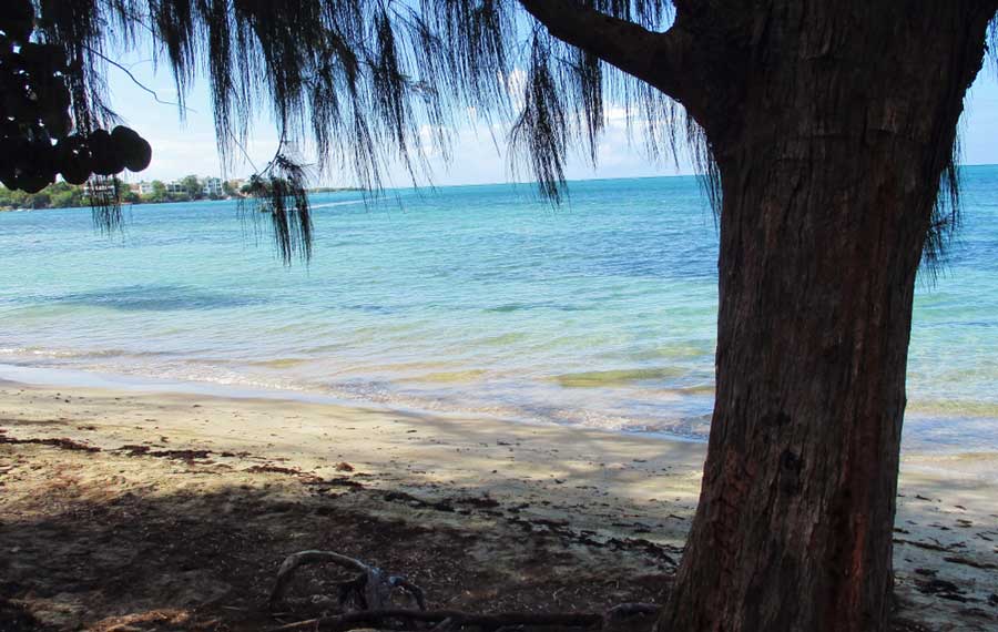 A relaxing view in Caña Gorda Beach