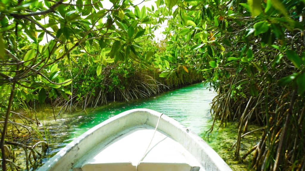 A canoe along the Sian Ka’an Biosphere Reserve