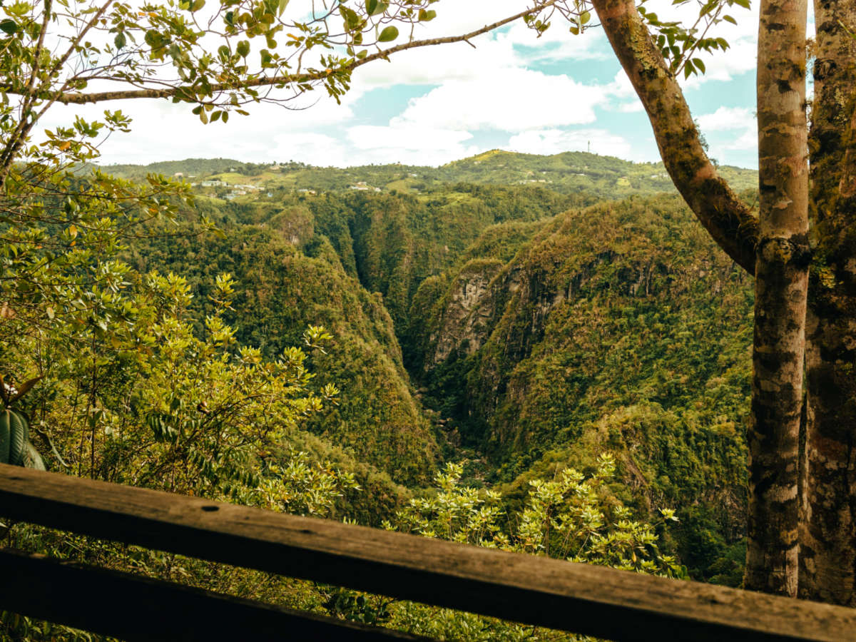 Overlooking view of the greenery around the Cañon San Cristobal