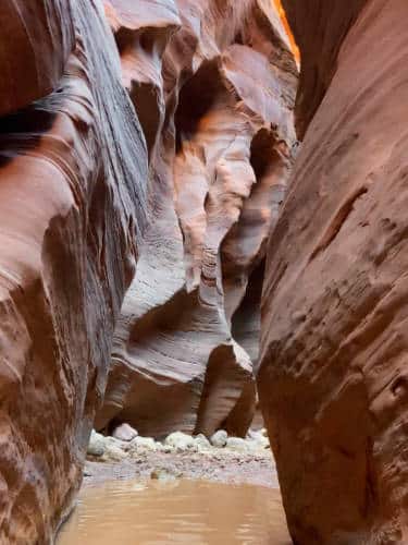 View of a canyon water during a hike in Buckskin Gulch