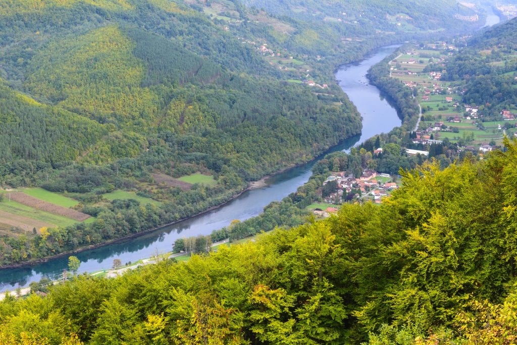 wood carvins on a river
