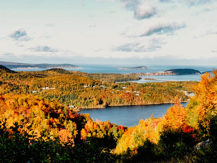 View of Cape Breton Autumn Leaves