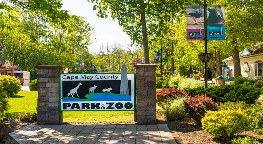 The Cape May County Park and Zoo signage from the entrance