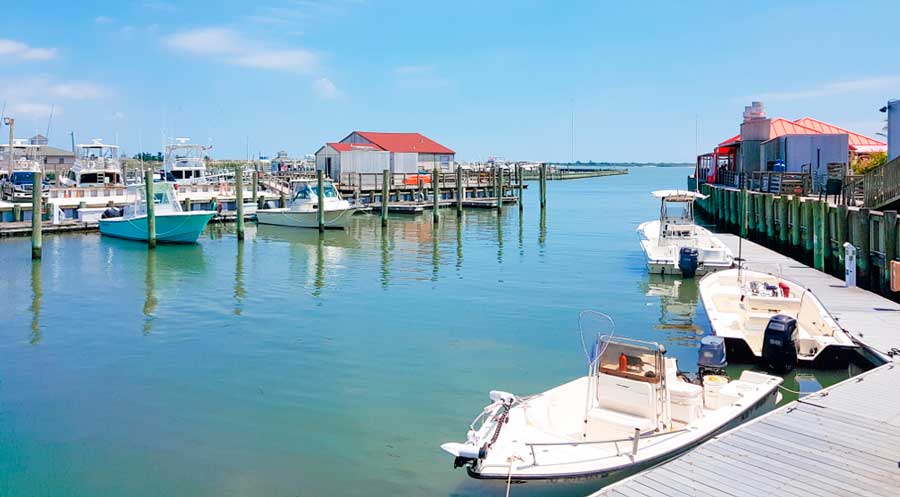 Boats at the marina in Cape May Harbor