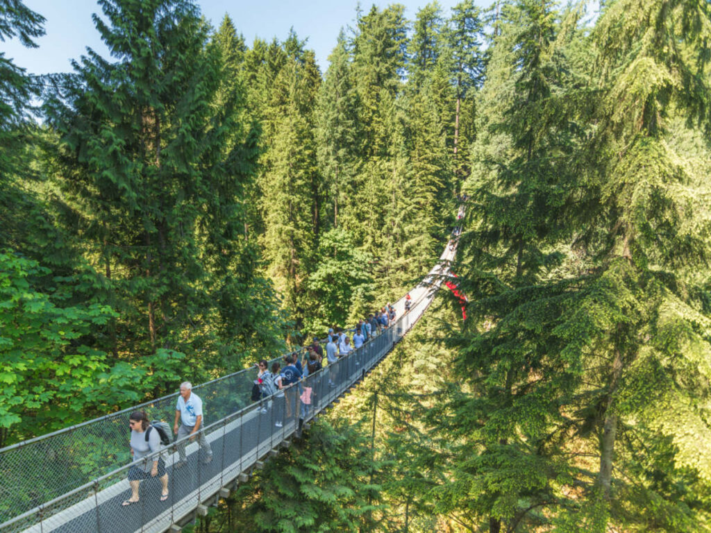 People enjoying a forest adventure, walking on Capilano Suspension Bridge in the beautiful Capilano Suspension Bridge Park