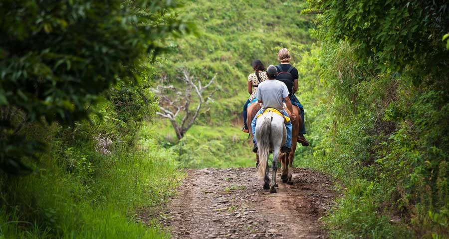 Tourists enjoying horseback riding in Carabali Rainforest Park