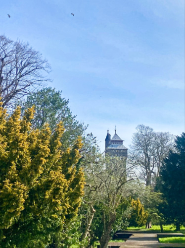 View of the Cardiff Castle in the distance seen from the lush Bute Park