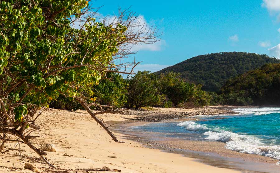 View from the shoreline of Carlos Rosario Beach
