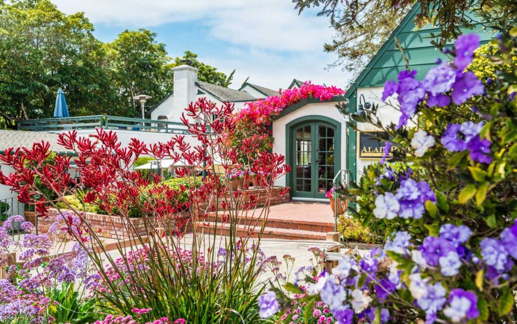 Colorful flowers in a garden in Carmel