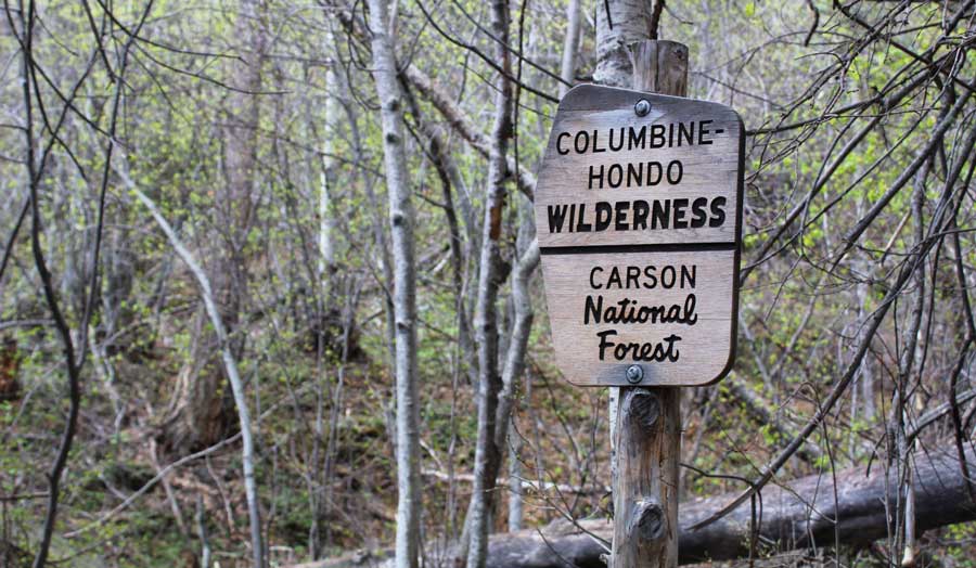 View of the Carson National Forest signage