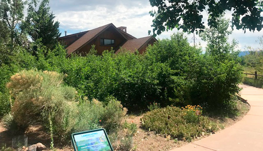 View from the Carson Nature Center under the clear blue sky