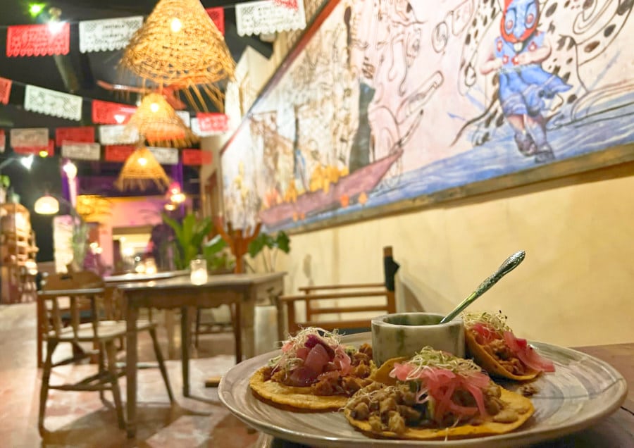 Food and interior at Casa Conato Cultural 1910
