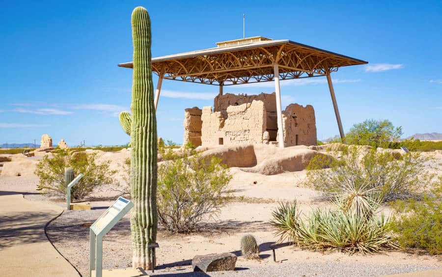 A big cactus in the landscape of Casa Grande Ruins National Monument.