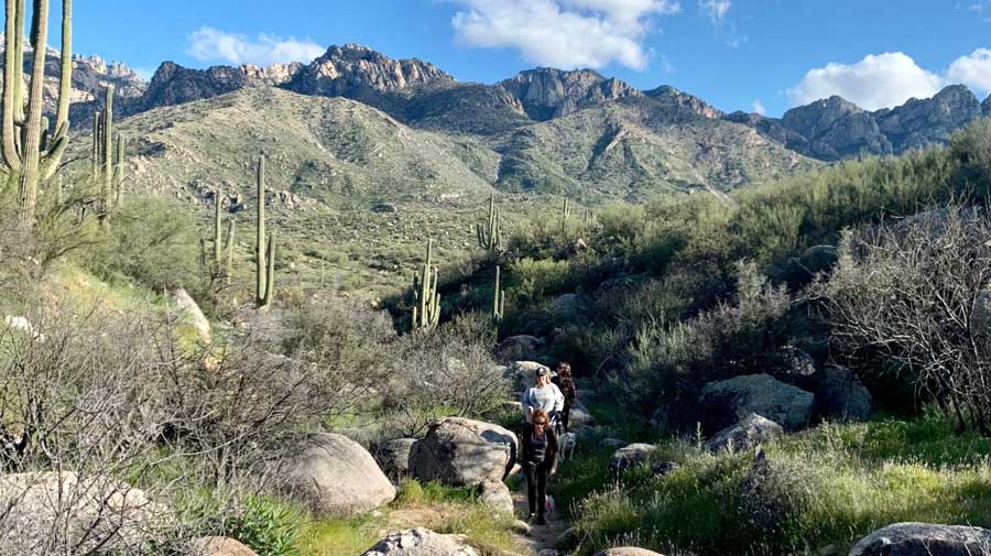 The author and her family during their hike in Catalina State Park