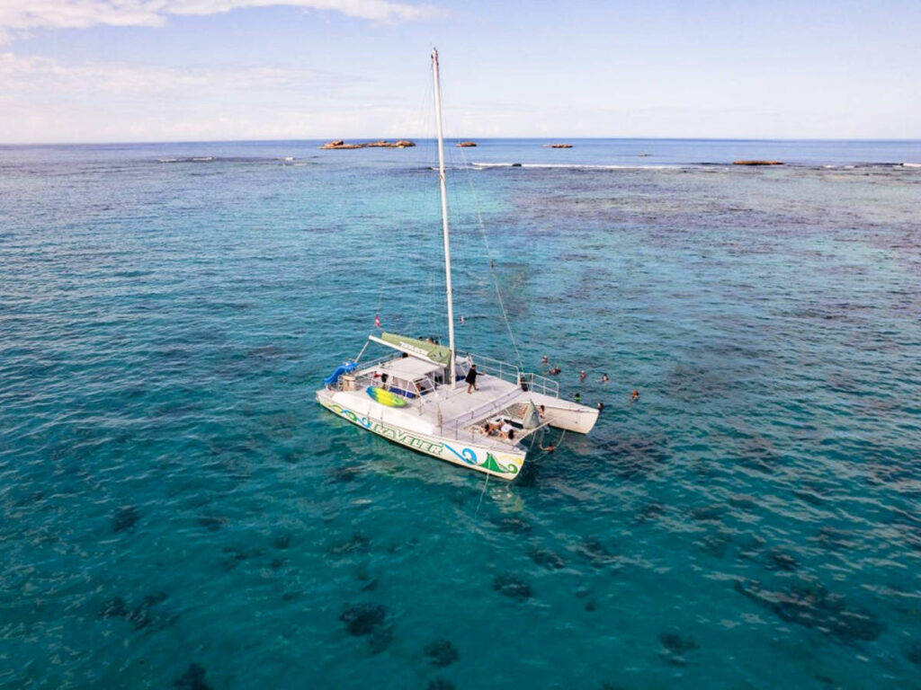 Aerial view of a catamaran sailing on the turquoise blue water